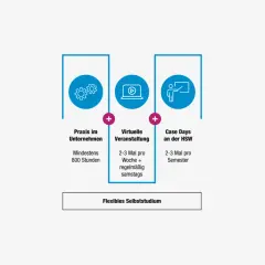 Infografik zeigt Elemente eines berufsbegleitenden Studiums Bachelor: Praxis, virtuelle Veranstaltungen und Case Days. Flexibles Selbststudium ist hervorgehoben.