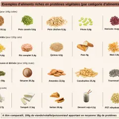Tableau comparatif des 10 aliments les plus riches en protéines végétales : courge, cacahuètes, tournesol, amandes, sésame, PST réhydratées, seitan, tempeh, tofu, lentilles.
