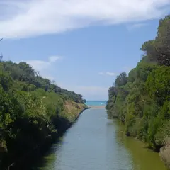 Canale che sfocia nel mare, incorniciato dalla vegetazione della riserva naturale Tomboli di Cecina.