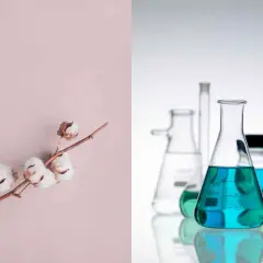Gałązka bawełny i kolby laboratoryjne z niebieskim płynem. Dwa rodzaje tkanin: naturalna i syntetyczna.