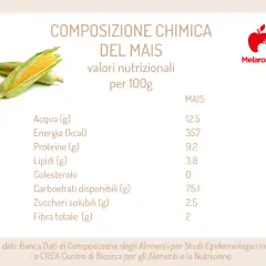 Composizione chimica del mais: valori nutrizionali per 100g, con dettagli su acqua, energia, proteine, lipidi, carboidrati e fibra.