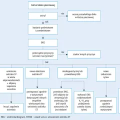 Schemat diagnostyczny bólu w klatce piersiowej, uwzględniający STEMI (zawał serca z uniesieniem odcinka ST) i inne przyczyny.