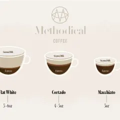 Illustration visar skillnaden mellan macchiato vs cortado, med olika mängder espresso och ångad mjölk i tre kaffetyper.