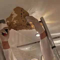 Person in Schutzkleidung entfernt feuchte Deckenplatten. Der Schaden ist sichtbar, die Decke nass und löst sich ab.
