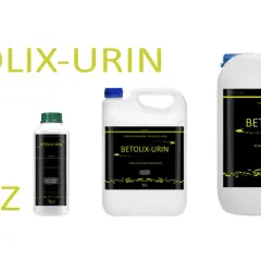 Jak usunąć zapach moczu psa z betonu? Skuteczne metody i porady
