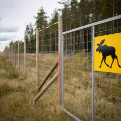Jak zamontować siatkę leśną - uniknij najczęstszych błędów i problemów