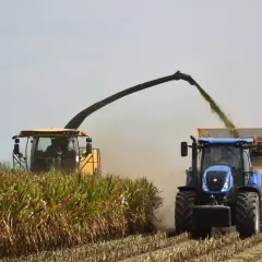 Żółta sieczkarnia zbiera kukurydzę, a niebieski traktor z przyczepą czeka na uzupełniającą płatność podstawową.