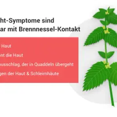 Medikamente gegen Nesselsucht: Effektive Lösungen für juckende Quaddeln