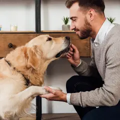 Mężczyzna pochyla się nad psem, który podaje mu łapę. To obrazek pokazujący, kim jest behawiorysta – specjalista od psiego zachowania.