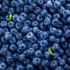 Mnóstwo soczystych borówek, idealnych na zdrową przekąskę. Sprawdź, jakie mają borówki kcal!