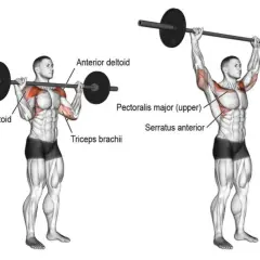 Mężczyzna wykonuje wyciskanie sztangi nad głowę. To świetne ćwiczenie na barki, angażujące też klatkę i triceps.