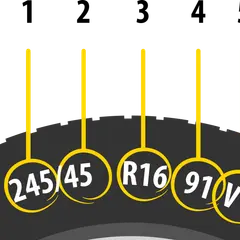 Rozmiar opony co oznacza: 245/45 R16 91V. Szerokość, profil, średnica felgi, indeks nośności i prędkości.