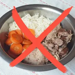 Gotowana wołowina dla psa: Jak przygotować ją bezpiecznie i zdrowo?
