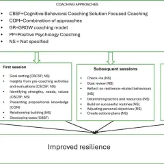 Flowchart detailing systemic coaching stages: pre-coaching, first, subsequent, and final sessions, leading to improved resilience.