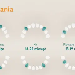 Ząbkowanie u niemowlaka: Ile trwa? Kalendarz, objawy i ulga!