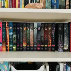 Półka z książkami dla 5 latka, seria Wojownicy Erin Hunter. Kolorowe okładki z kotami i tytułami jak "Ucieczka w dzicz".