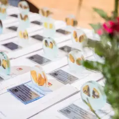 Bursztynowe Gody – 44. rocznica ślubu Danuty i Andrzeja Zajadło. Pamiątkowe upominki z życzeniami.