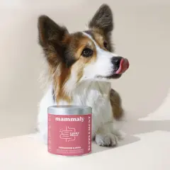 Süßer Hund leckt sich die Lippen neben einer Dose "Lucky Belly" von Mammaly. Ein natürliches Mittel gegen Durchfall beim Hund.