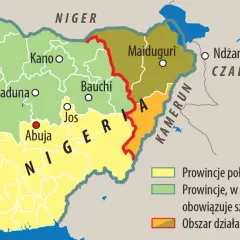 Mapa Afryki z zaznaczoną Nigerią. Pokazuje, gdzie leży Nigeria, jej stolice (Abuja, Lagos) i sąsiadów (Benin, Niger, Kamerun, Czad).