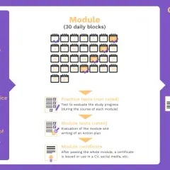 Infographic detailing the structure of an online MPA program, including daily blocks, modules, tests, and final accreditation.