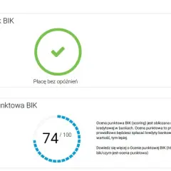 BIK: Sprawdź historię kredytową krok po kroku. Zyskaj kontrolę!