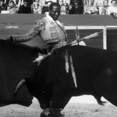 Un torero negro, con traje de luces, se enfrenta a un toro bravo en la arena. El público observa desde las gradas.