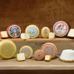 Varietà di formaggi italiani, da quelli stagionati a quelli freschi, un'esplosione di sapori per scoprire cos'è il formaggio.