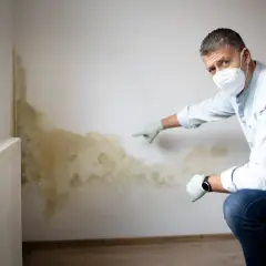 Mann mit Maske und Handschuhen zeigt auf Schimmel an der Wand. Er sucht nach Hausmitteln, um Feuchtigkeit aus der Wand zu ziehen.