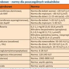 Tabela z normami badań wątrobowych: ALT, AST, bilirubina, GGTP, LDH, ChE, HBs, HCV. Co to za badanie?