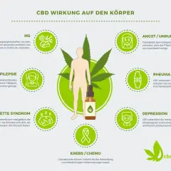Was ist Cannabidiol? Die Grafik zeigt, wie CBD auf MS, Epilepsie, Tourette, Angst, Rheuma, Depression und Krebs wirkt.