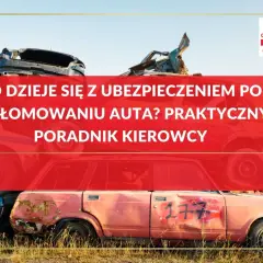 Złomowanie auta a OC: praktyczny poradnik kierowcy. Na złomowisku piętrzą się wraki samochodów, a niebo jest błękitne.