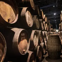 W piwnicy dojrzewają beczki, gdzie zachodzi fermentacja malolaktyczna. Wino nabiera głębi smaku.