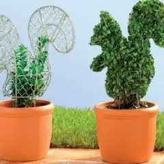 Rzeźby z roślin: jak stworzyć piękne topiary w swoim ogrodzie
