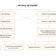 Schemat leczenia trądziku: porada u dermatologa lub kosmetologa, badania, dobór pielęgnacji domowej i zabiegi takie jak antybiotyki, izotynotretynoina, peelingi, kuracja światłem, oczyszczanie skóry.