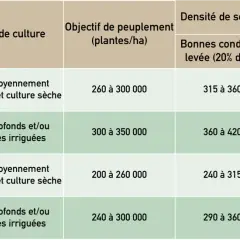 Tableau comparant la densité de semis de sorgho selon le groupe de précocité, le mode de culture et les conditions de levée.