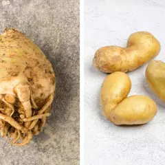 Rotfrukter och potatis, som är bra för antiinflammatorisk kost.