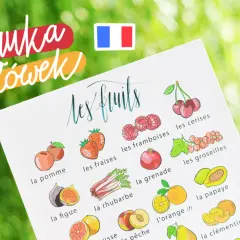 Nauka słówek po francusku: ilustrowana karta z owocami, m.in. jabłka, truskawki, maliny, wiśnie, granat, agrest, figi, rabarbar, pomarańcze, papaja, brzoskwinie, mandarynki.