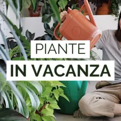 Donna sorridente con annaffiatoi, circondata da piante rigogliose. Impara come innaffiare le piante in vacanza per mantenerle sane.