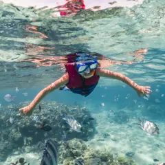 Dziecko w masce i kamizelce pływa wśród ławicy ryb. Woda jest przejrzysta, a dno piaszczyste. Czy morze czerwone jest ciepłe? Tak, jest idealne do snorkelingu!