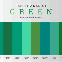 Ten shades of green, from Persian Green to Mint Cream, including a deep viridian.