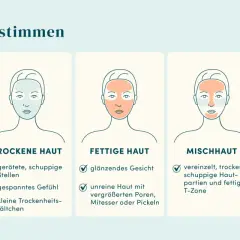 Illustrationen zeigen, wie finde ich meinen hauttyp heraus: normale, trockene, fettige, Mischhaut und sensible Haut mit typischen Merkmalen.