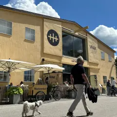 En gul byggnad med texten "VRAK MUSEUM OF WRECKS" under en stor svart symbol. Folk promenerar förbi, en hund går vid sidan av en man.