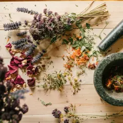 Homeopatia: Recepta czy bez? Poznaj zasady i miejsca zakupu!
