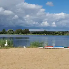 Plaża z łabędziami i kolorowymi rowerami wodnymi nad jeziorem w Grabicy.