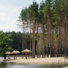 Plaża nad jeziorem z parasolami i lasem sosnowym. Idealne miejsce na wypoczynek, świetne krasnobród atrakcje dla dzieci.