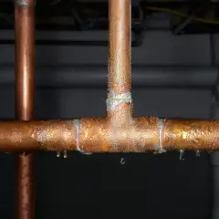 Gouttes d'eau sur un raccord en T de tuyau de cuivre, signe d'une fuite. L'eau perle sur le métal, certaines gouttes tombent.