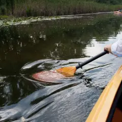 Skręcanie kajakiem: Opanuj kluczowe techniki i płyń pewnie!