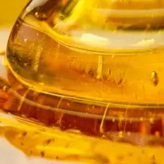Miód manuka na rany jak stosować – skuteczne metody leczenia ran