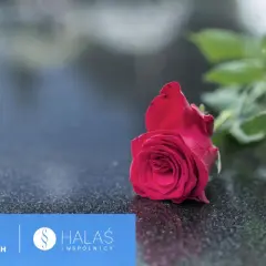Czerwona róża na kamieniu. Potrzebujesz pomocy, co zrobić z dokumentami po zmarłej osobie? Kancelaria prawna HALAŚ i wspólnicy.
