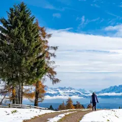 Zimowe Tatry: Jak bezpiecznie wybrać szlak? Poradnik eksperta